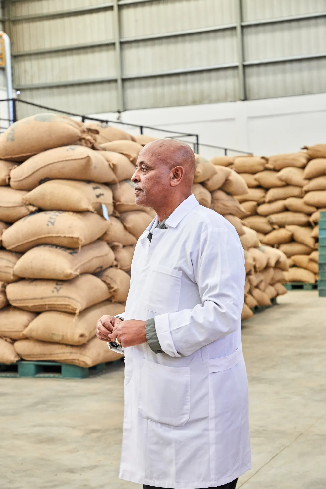 Quality control in the Romina Coffee warehouse
