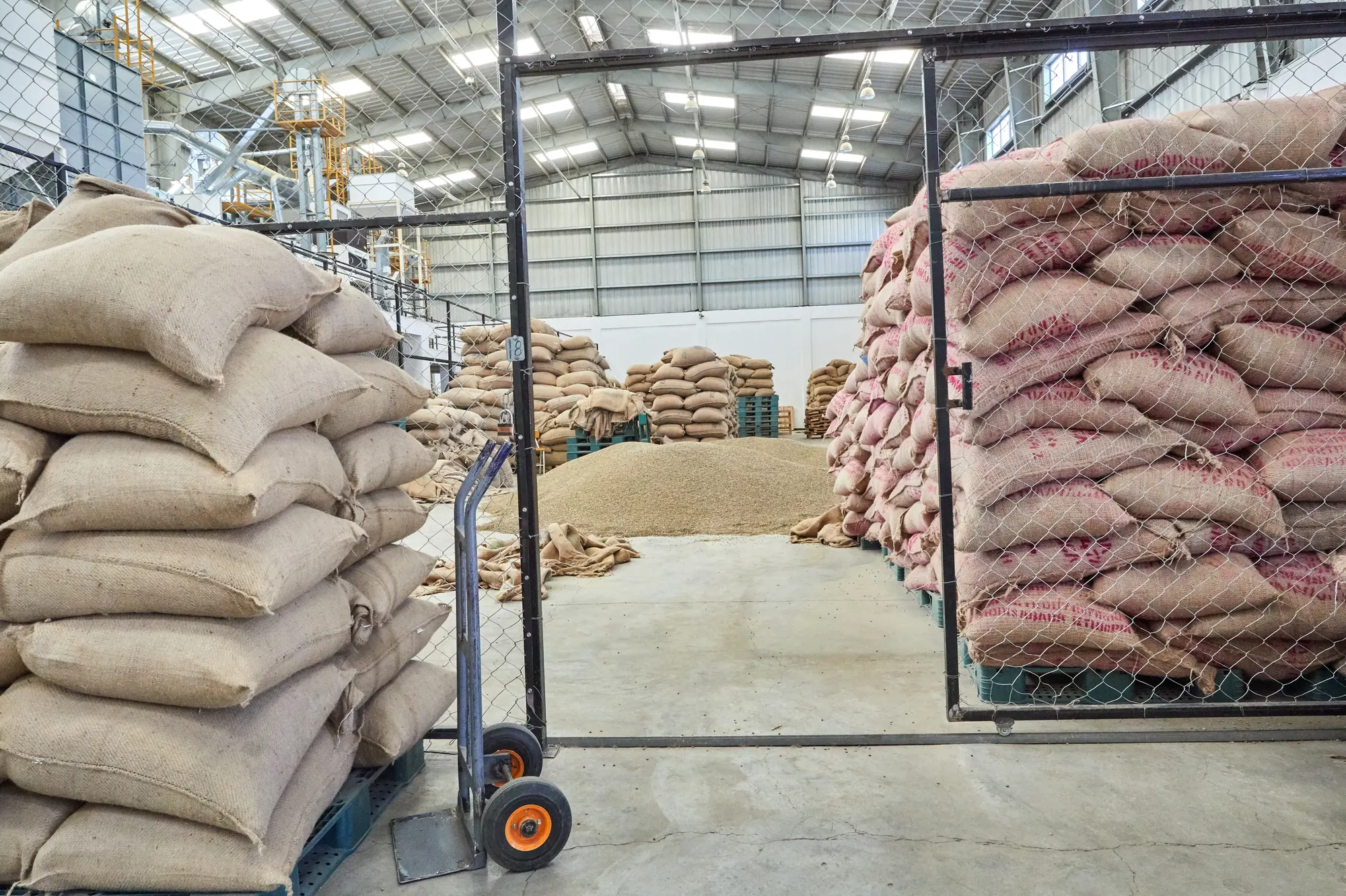 Sacks of export coffee stacked in the warehouse