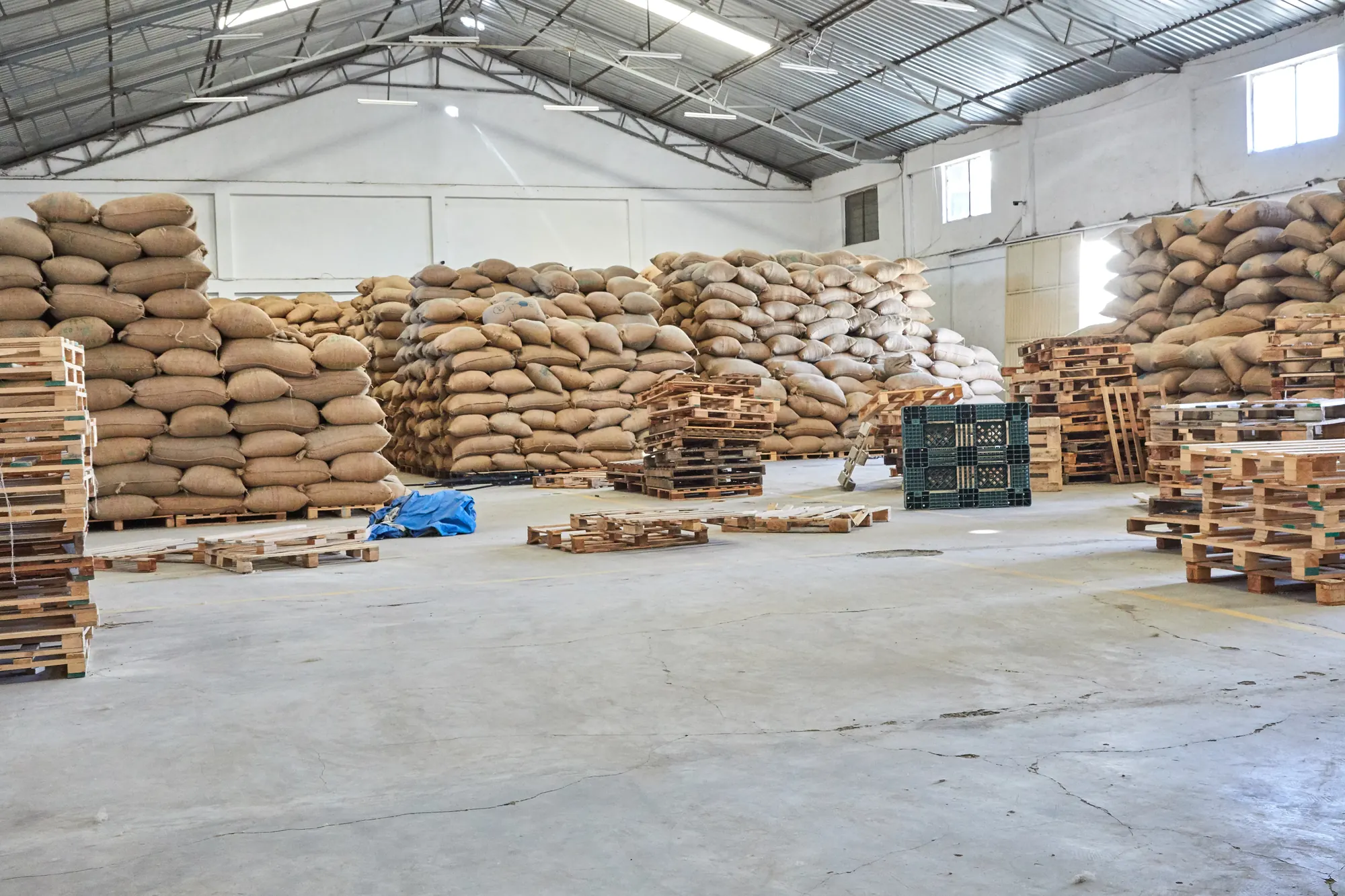 Coffee sacks stacked on pallets in the Romina warehouse