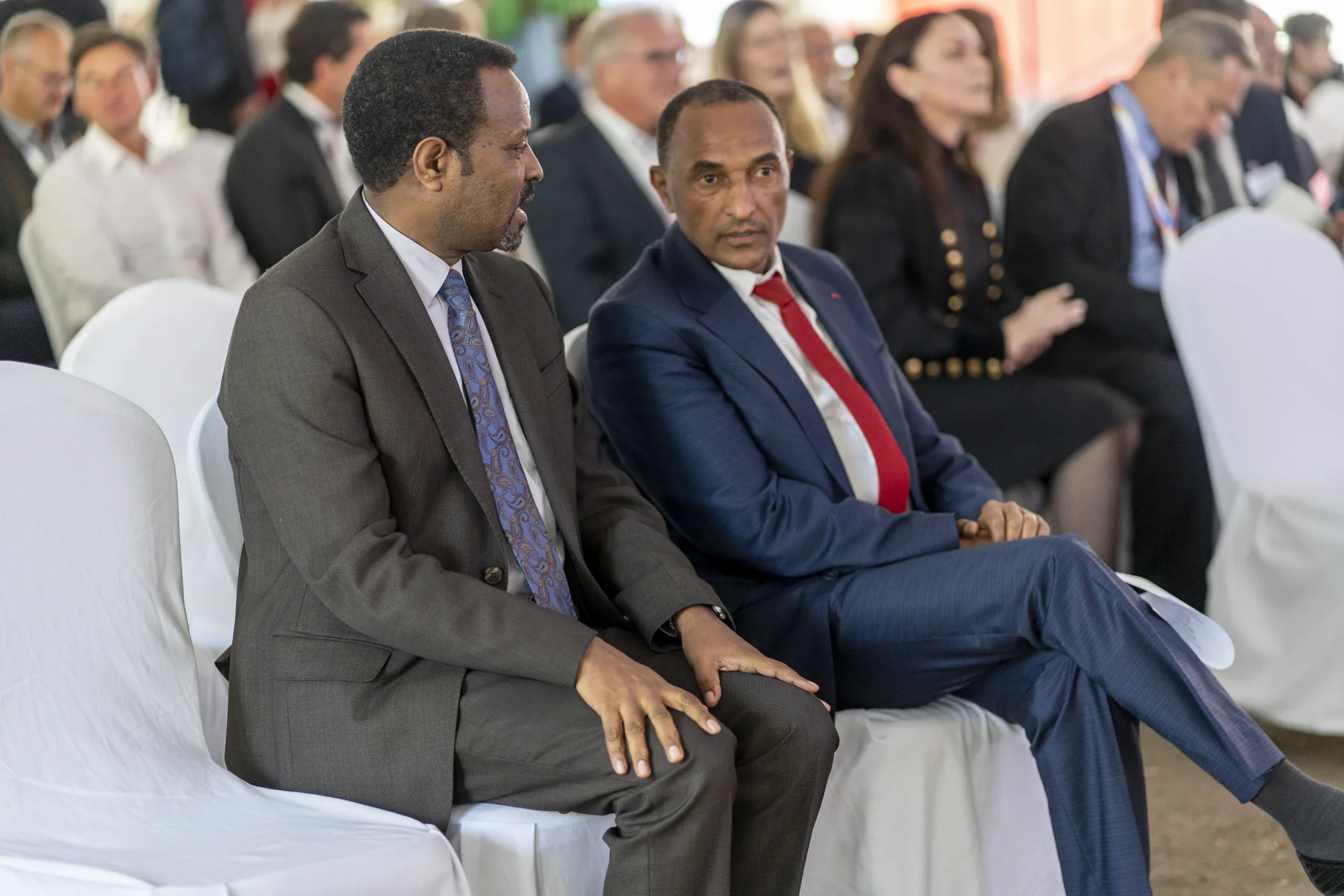 Guests seated together at the Tafo coffee event